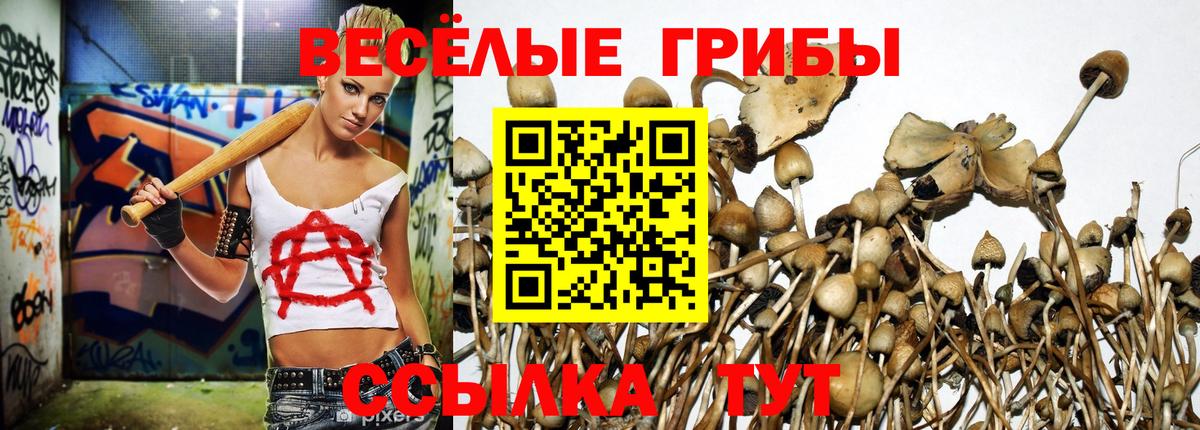 Галлюциногенные грибы прущие грибы  сколько стоит  Прохладный  Галлюциногенные грибы Psilocybe  Вход с VPN 