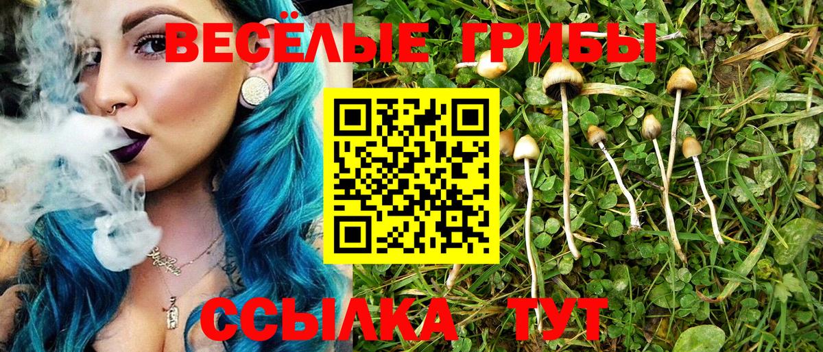 Псилоцибиновые грибы Psilocybine cubensis Прохладный